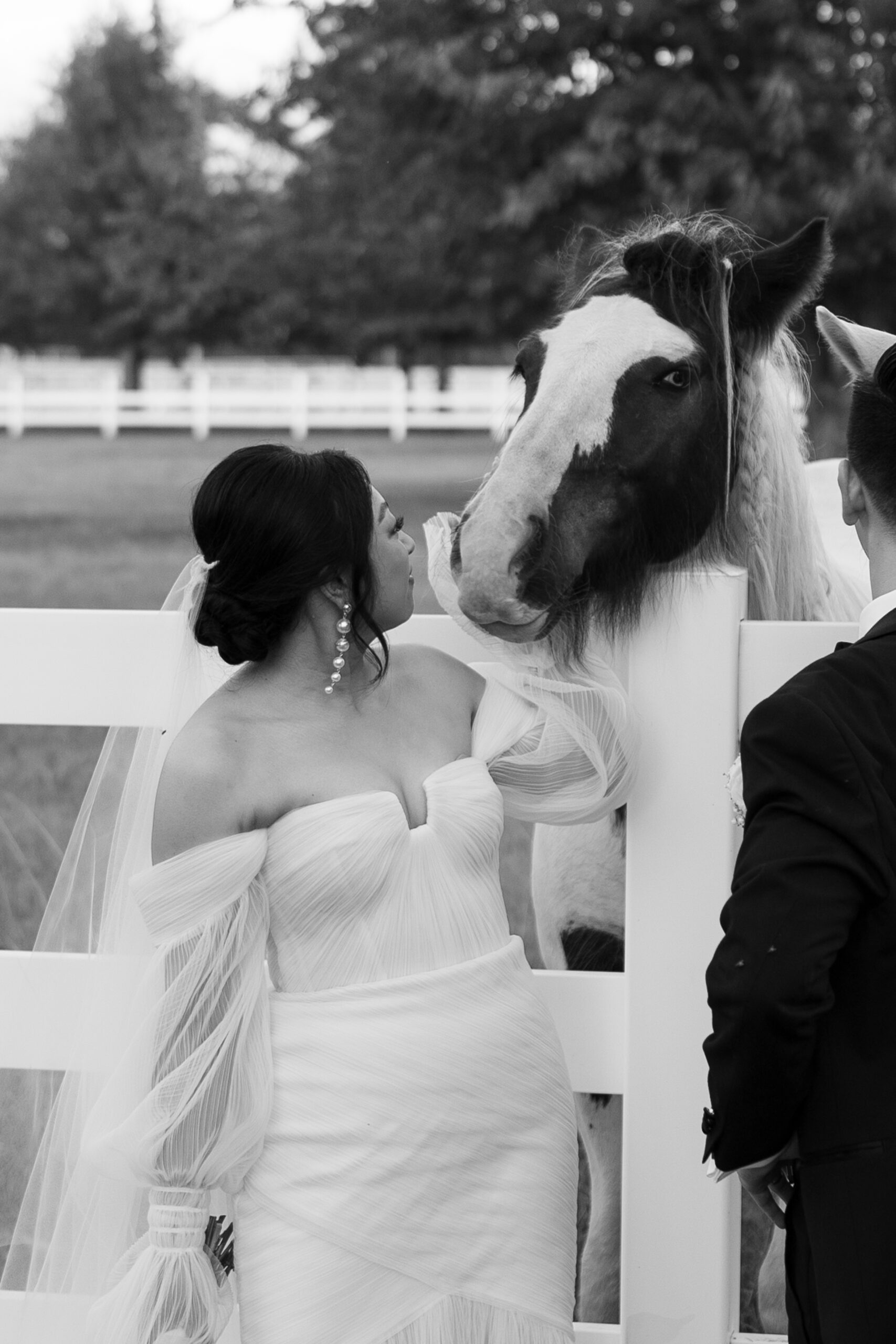 Wedding couple photos with horse