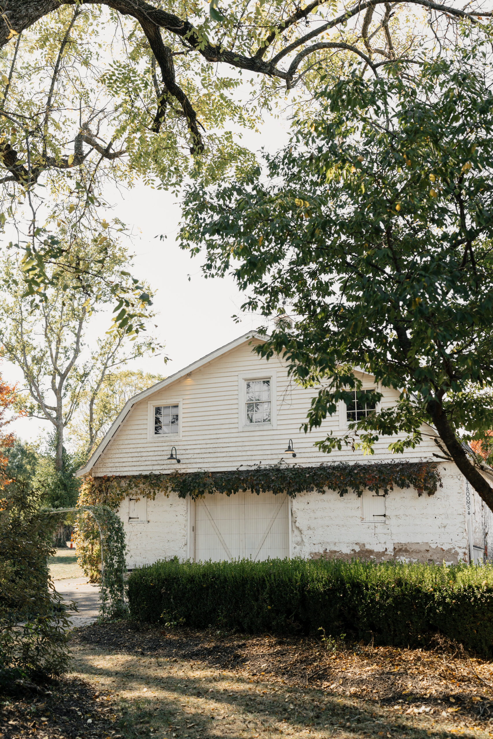 Greenery-covered backdrop for Haseltine Estate outdoor ceremony
