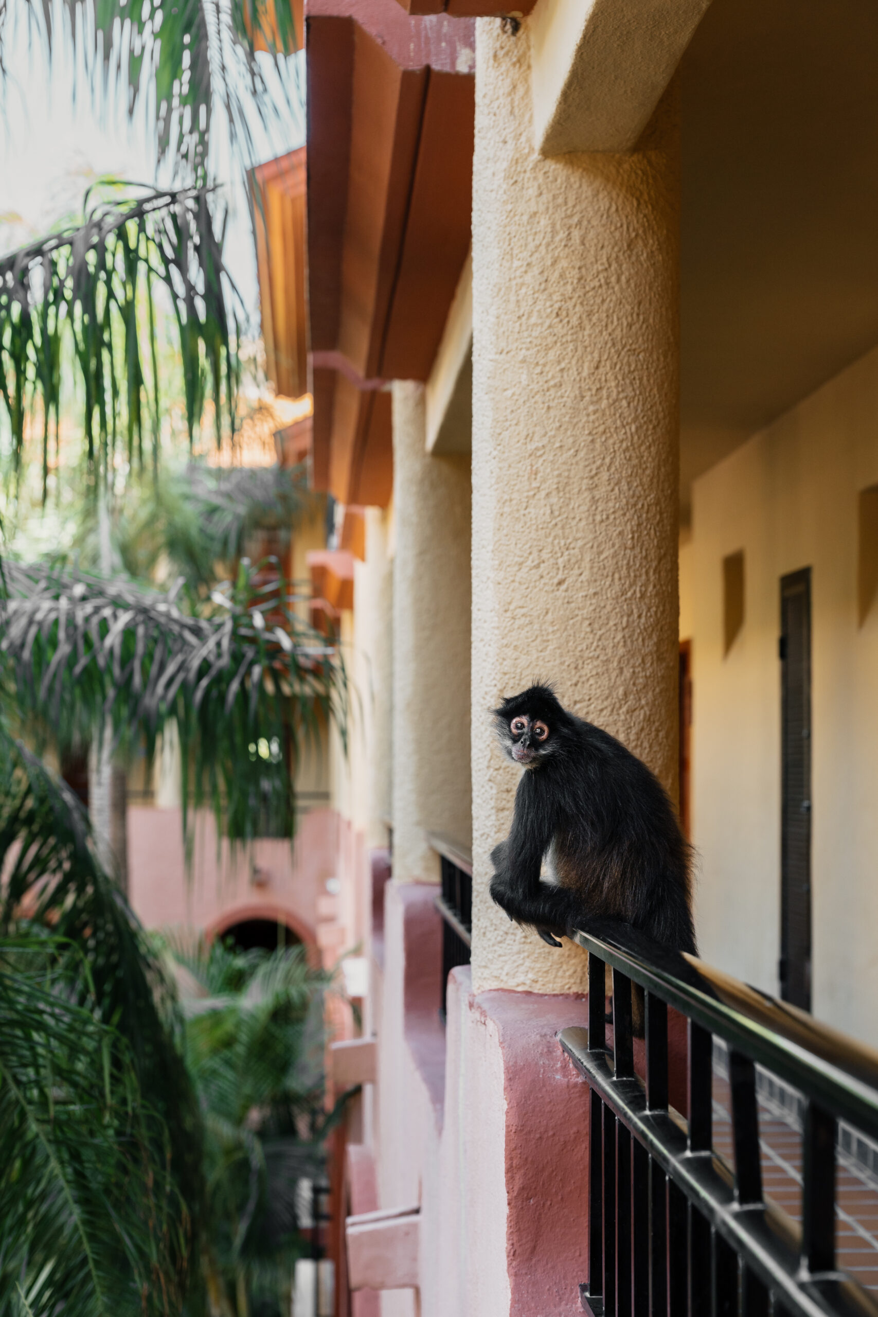 Sandos Playacar wedding photography